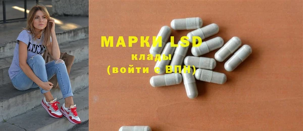 индика Зерноград