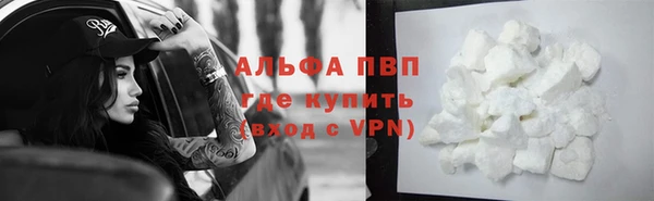 индика Зерноград