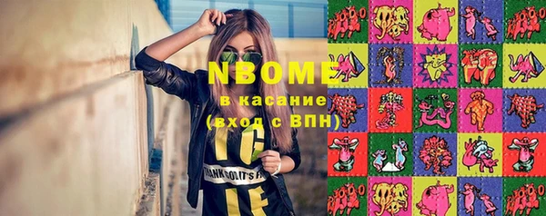 индика Зерноград
