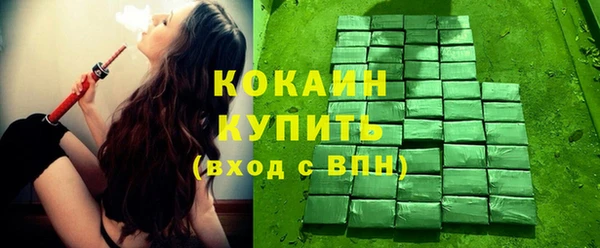 индика Зерноград